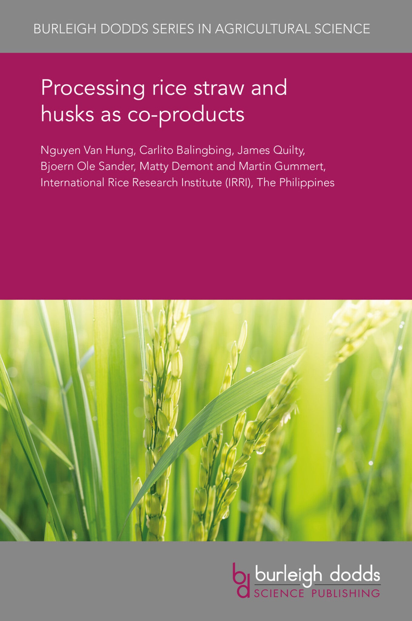 Processing rice straw and husks as co-products