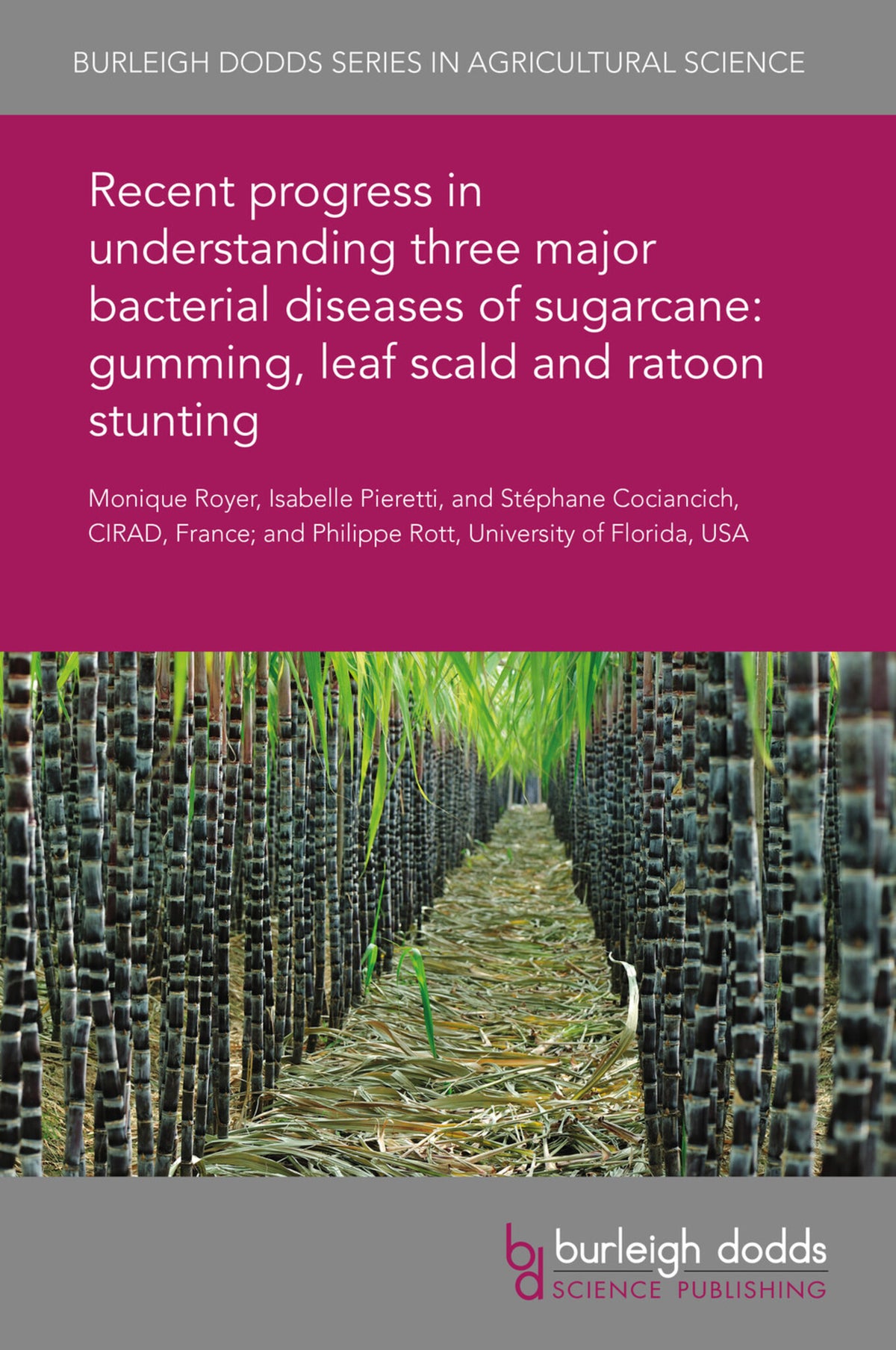 Recent progress in understanding three major bacterial diseases of sugarcane: gumming, leaf scald and ratoon stunting