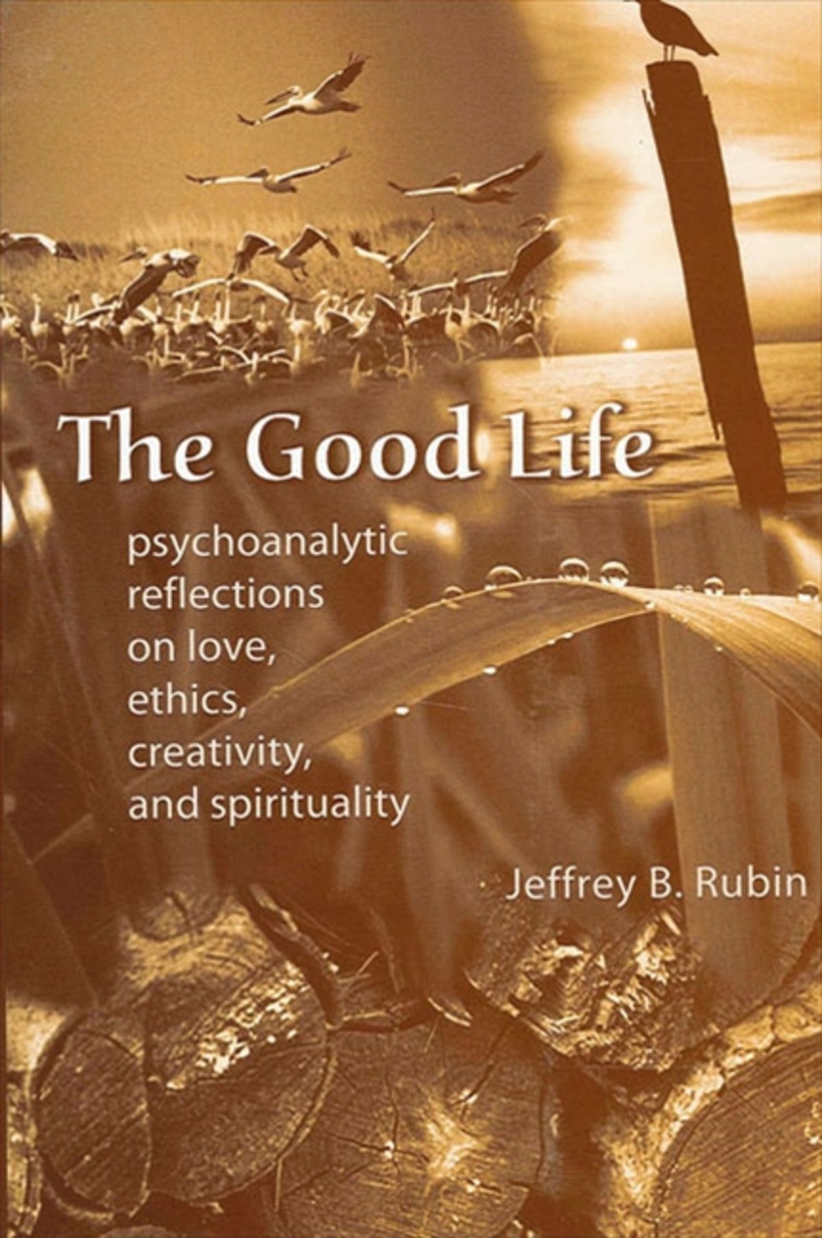 Cover image for The Good Life ISBN 9780791462157