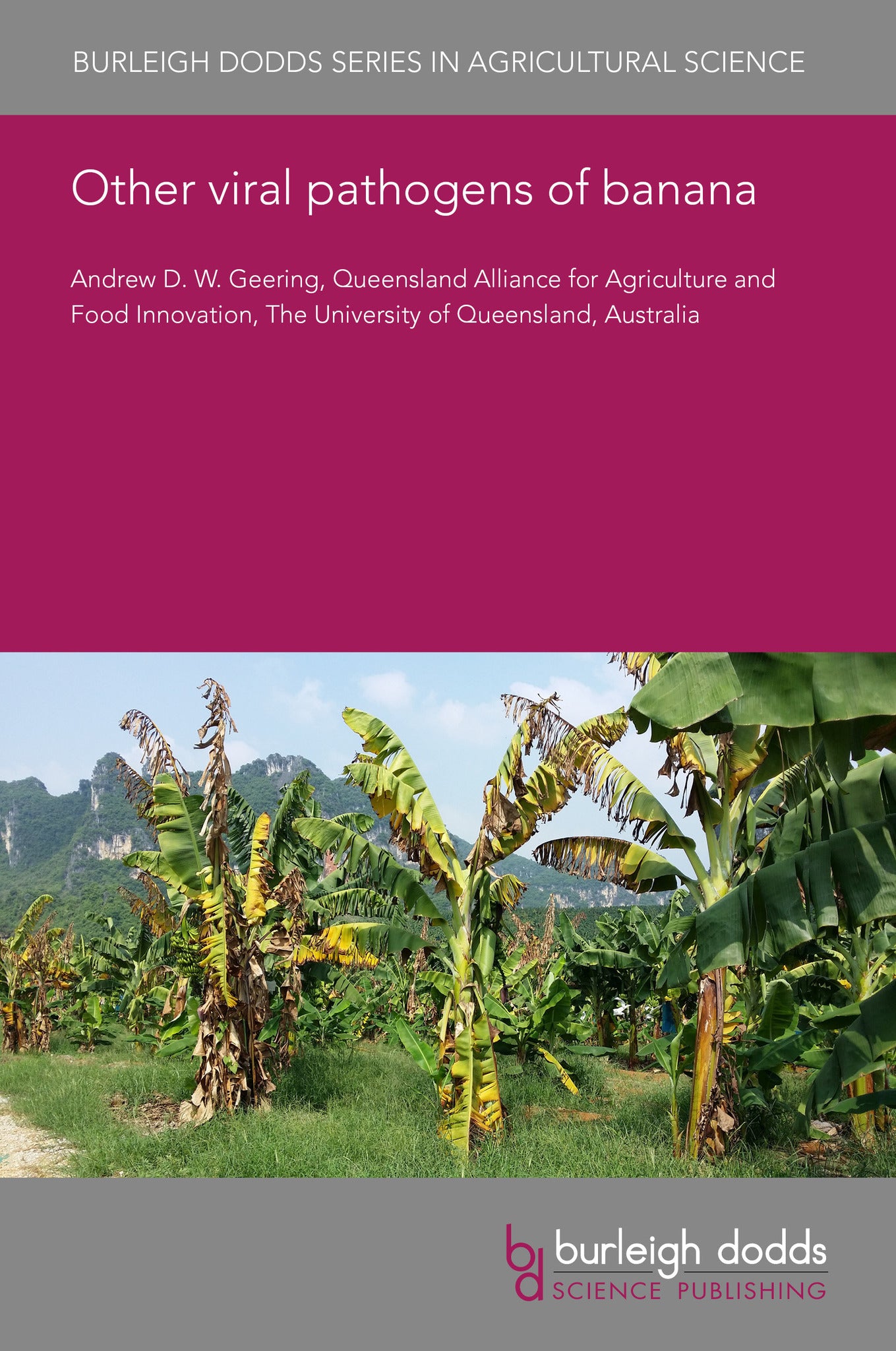 Other viral pathogens of banana