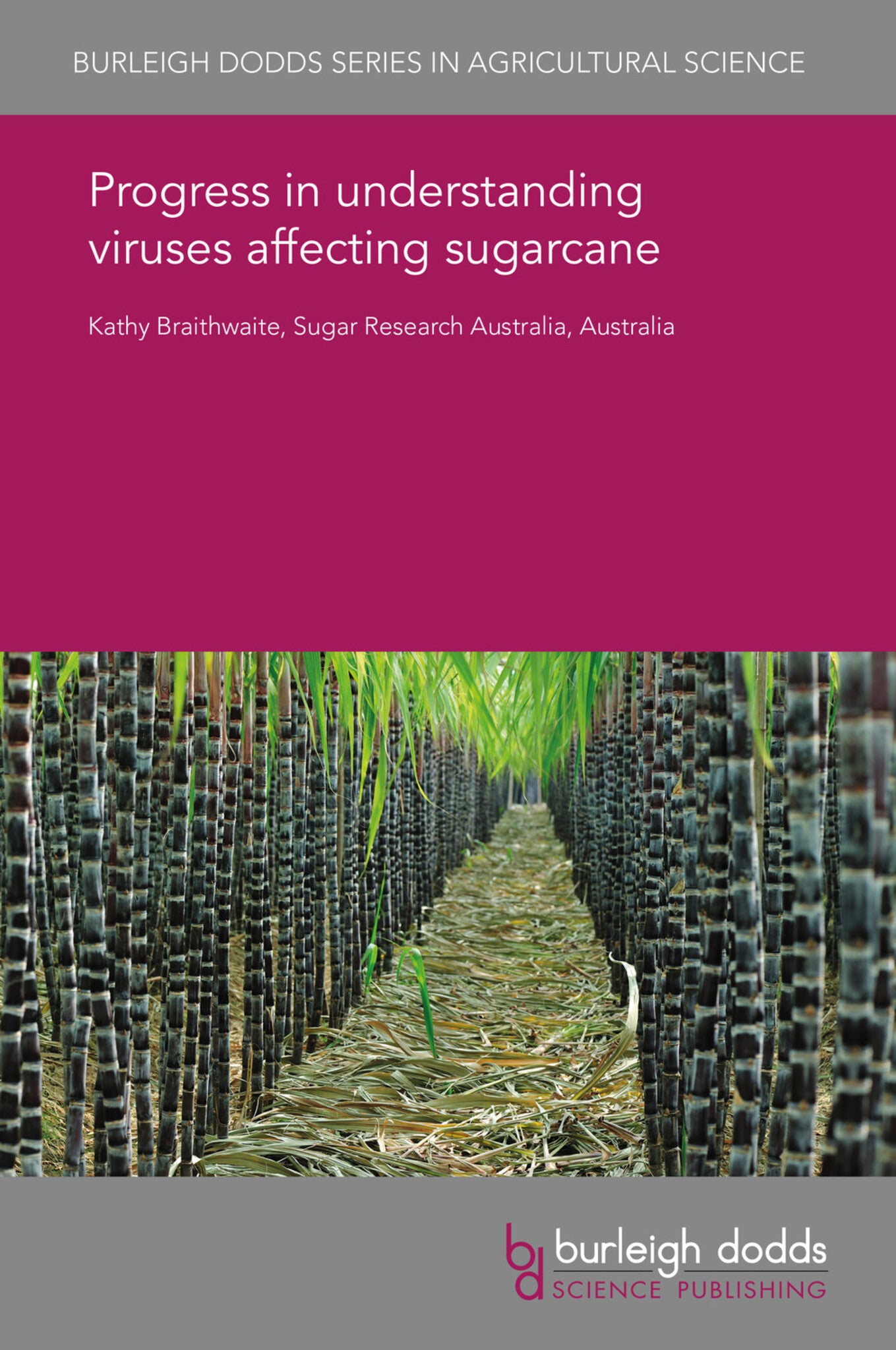 Progress in understanding viruses affecting sugarcane