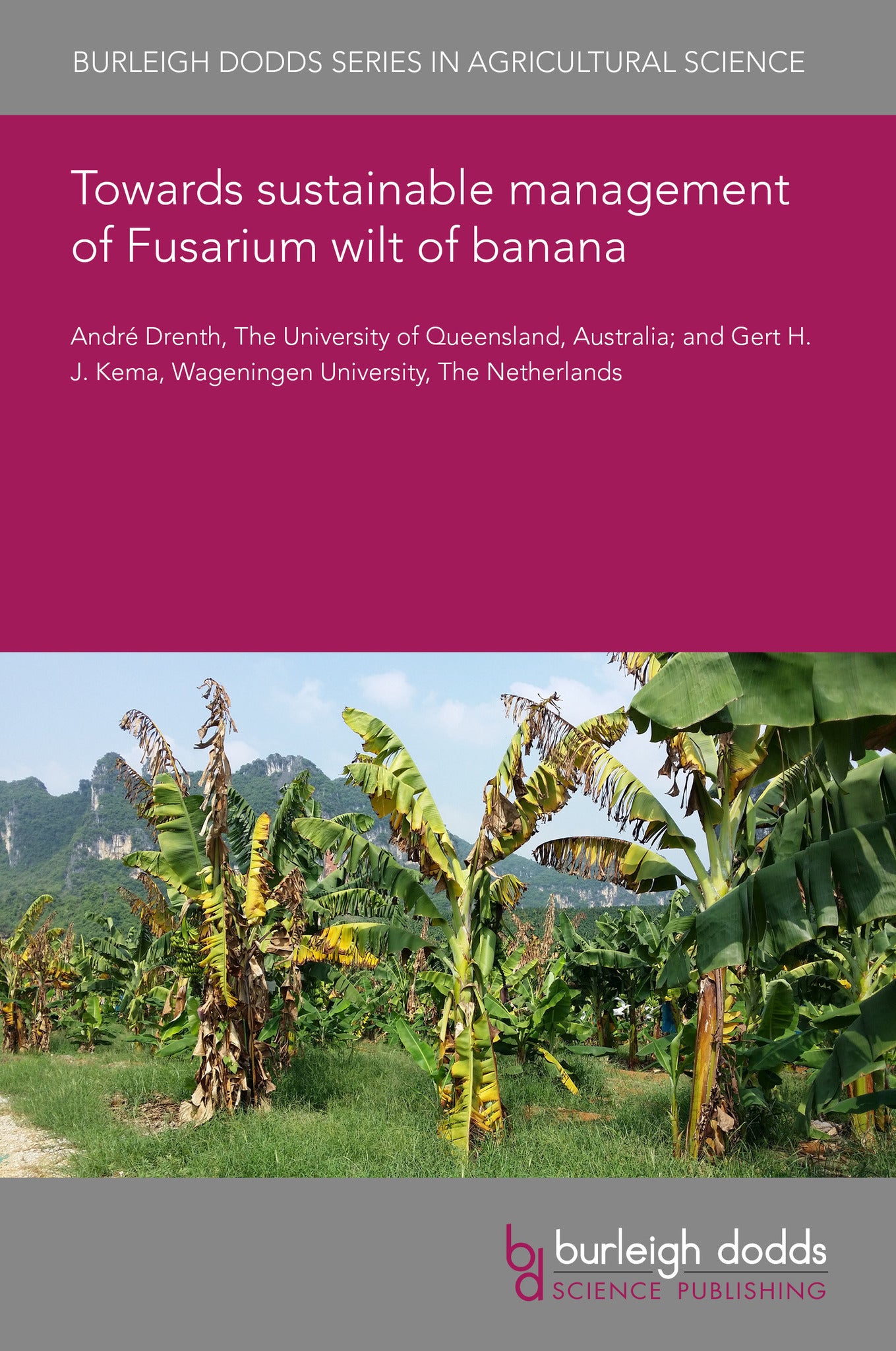 Towards sustainable management of Fusarium wilt of banana