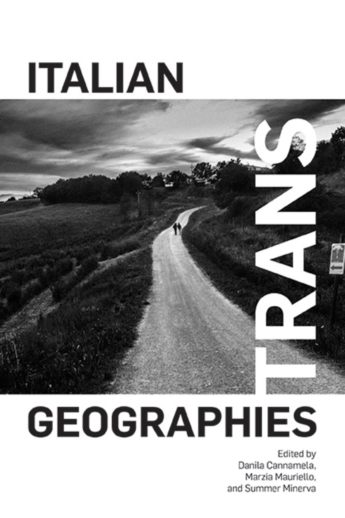 Cover image for Italian Trans Geographies ISBN 9781438494579