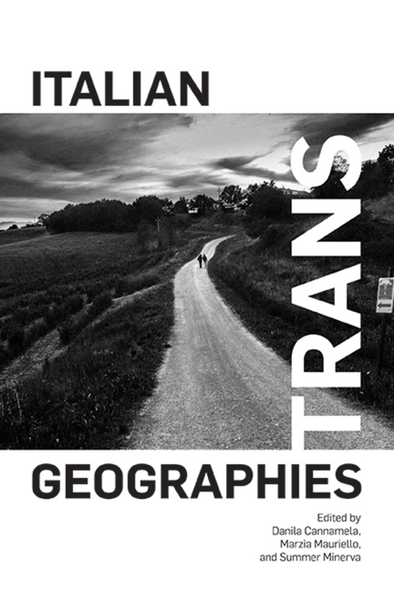 Cover image for Italian Trans Geographies ISBN 9781438494579