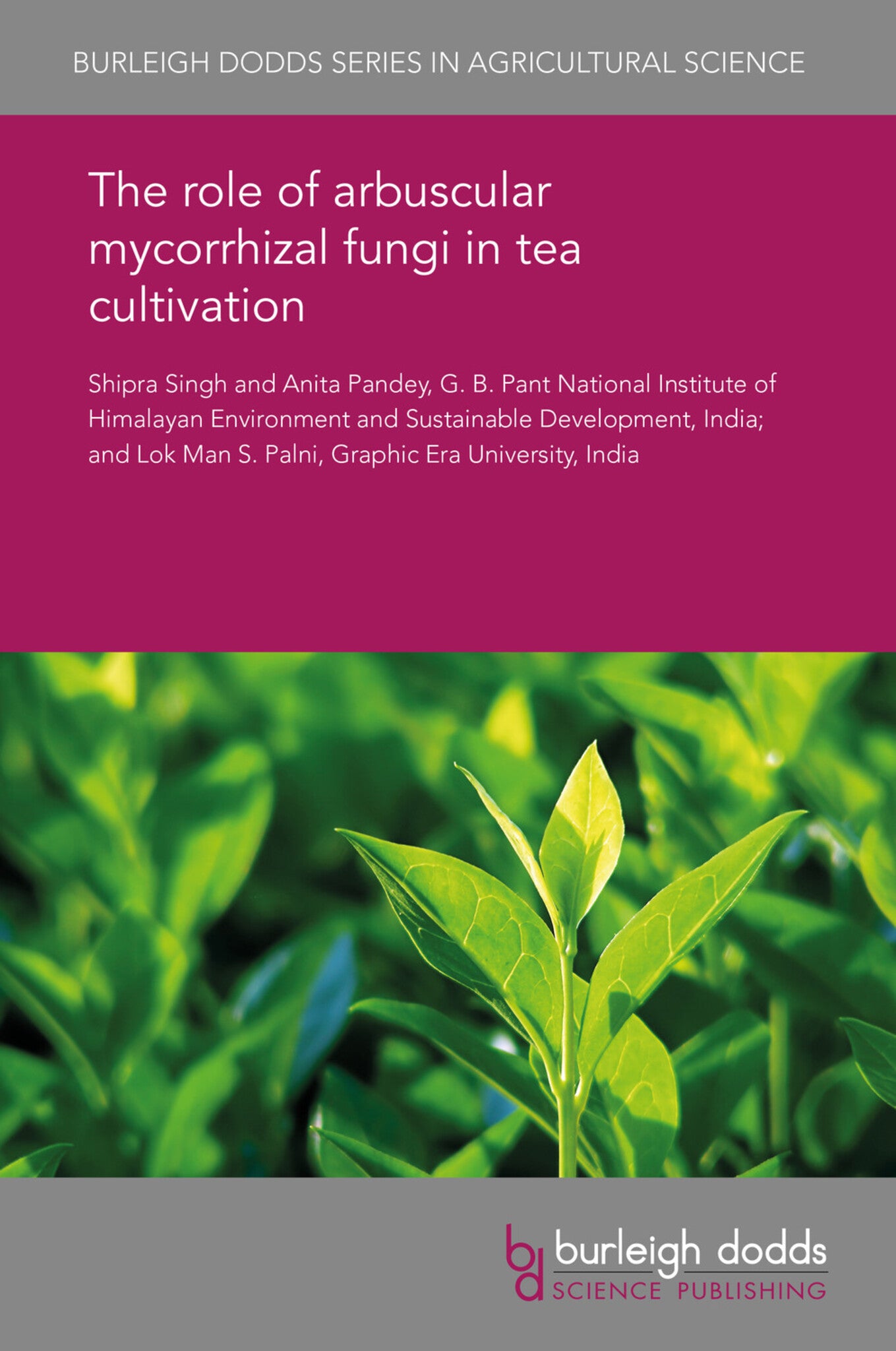 The role of arbuscular mycorrhizal fungi in tea cultivation
