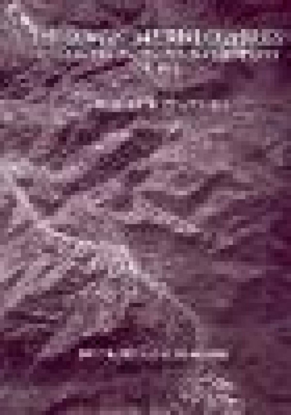 The Roman Imperial Quarries Survey and Excavation at Mons Porphyrites 1994-1998
