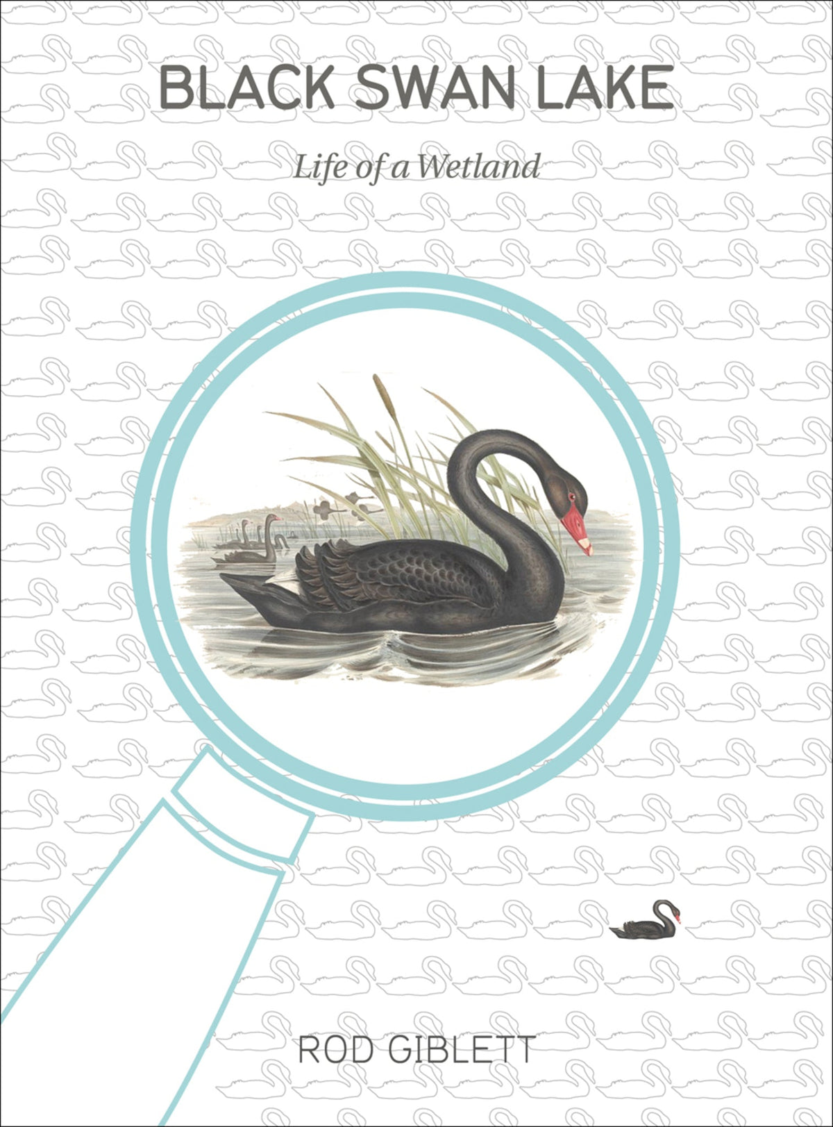 Cover image for Black Swan Lake ISBN 9781783200450
