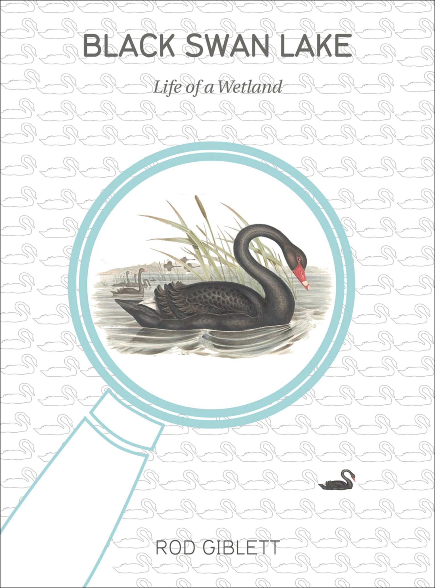 Cover image for Black Swan Lake ISBN 9781783200450