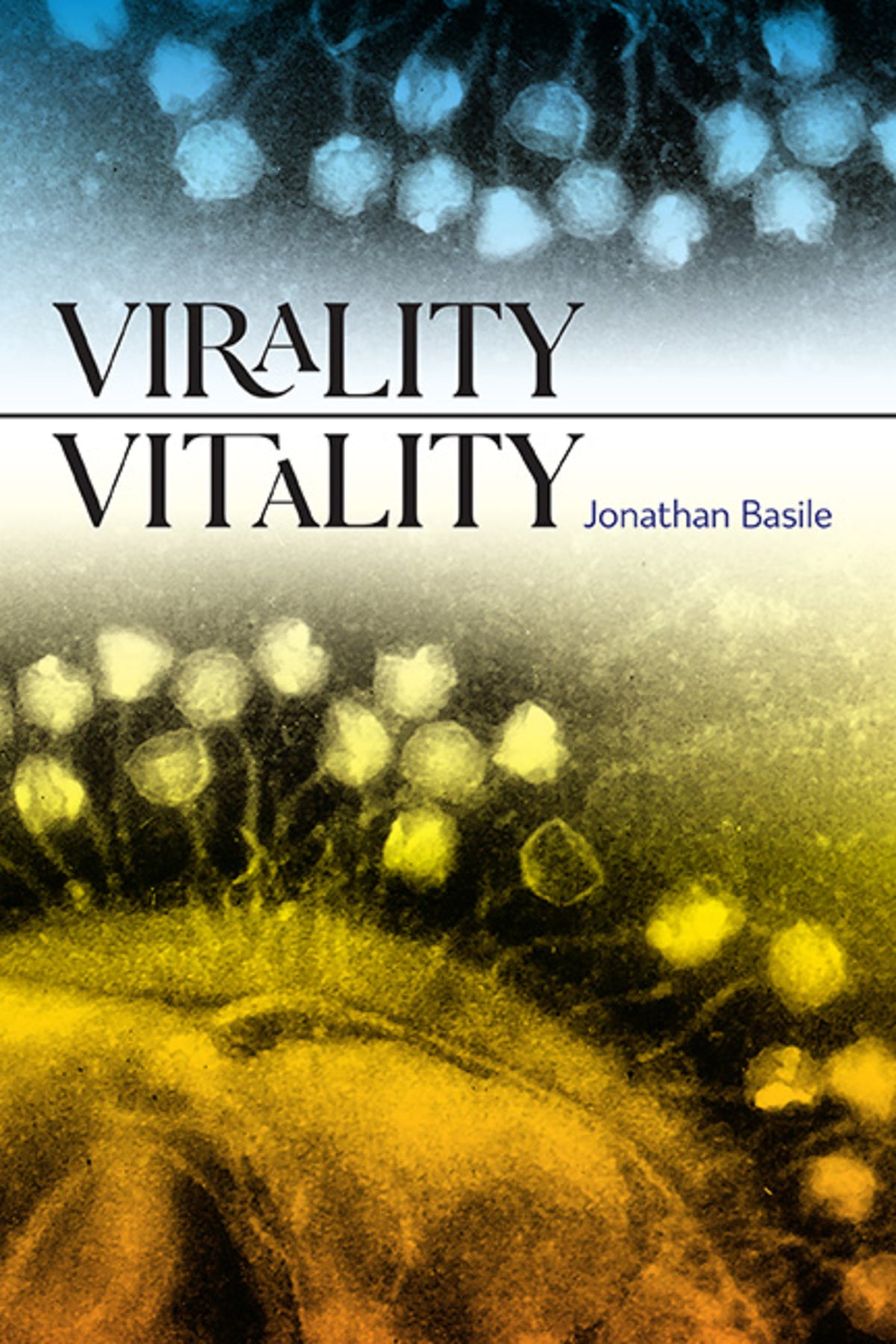 Cover image for Virality Vitality ISBN 9798855801842