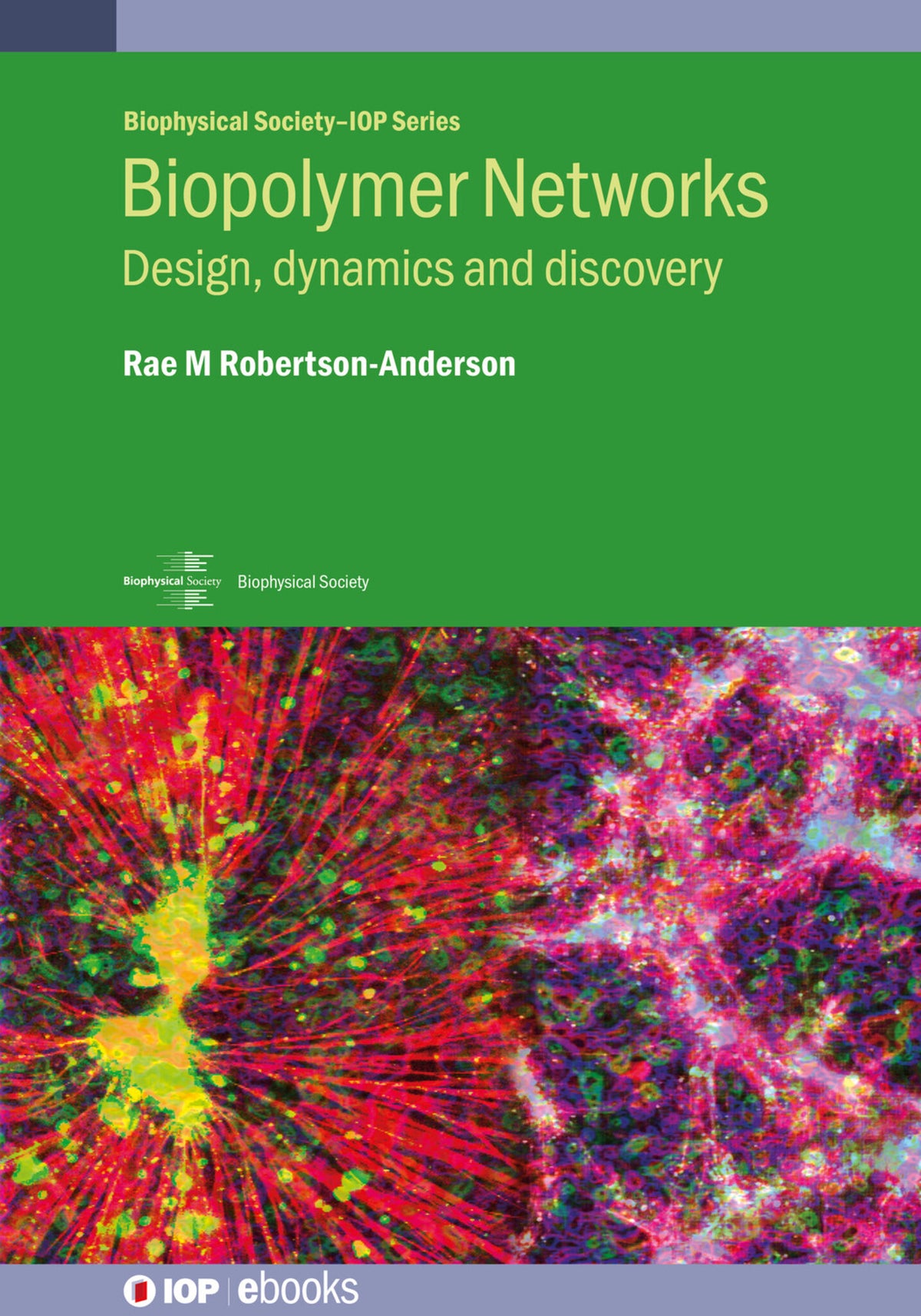 Cover image for Biopolymer Networks ISBN 9780750350372