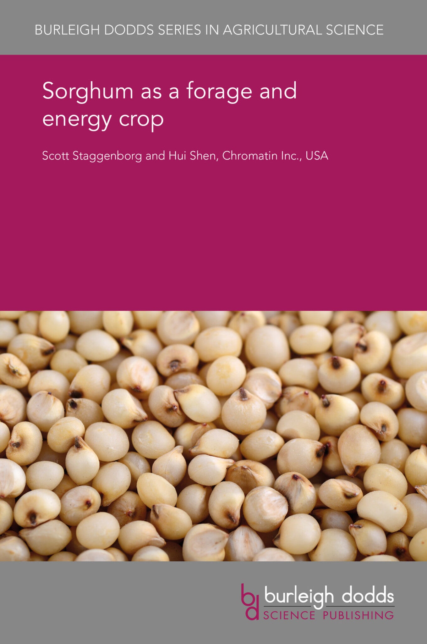 Sorghum as a forage and energy crop