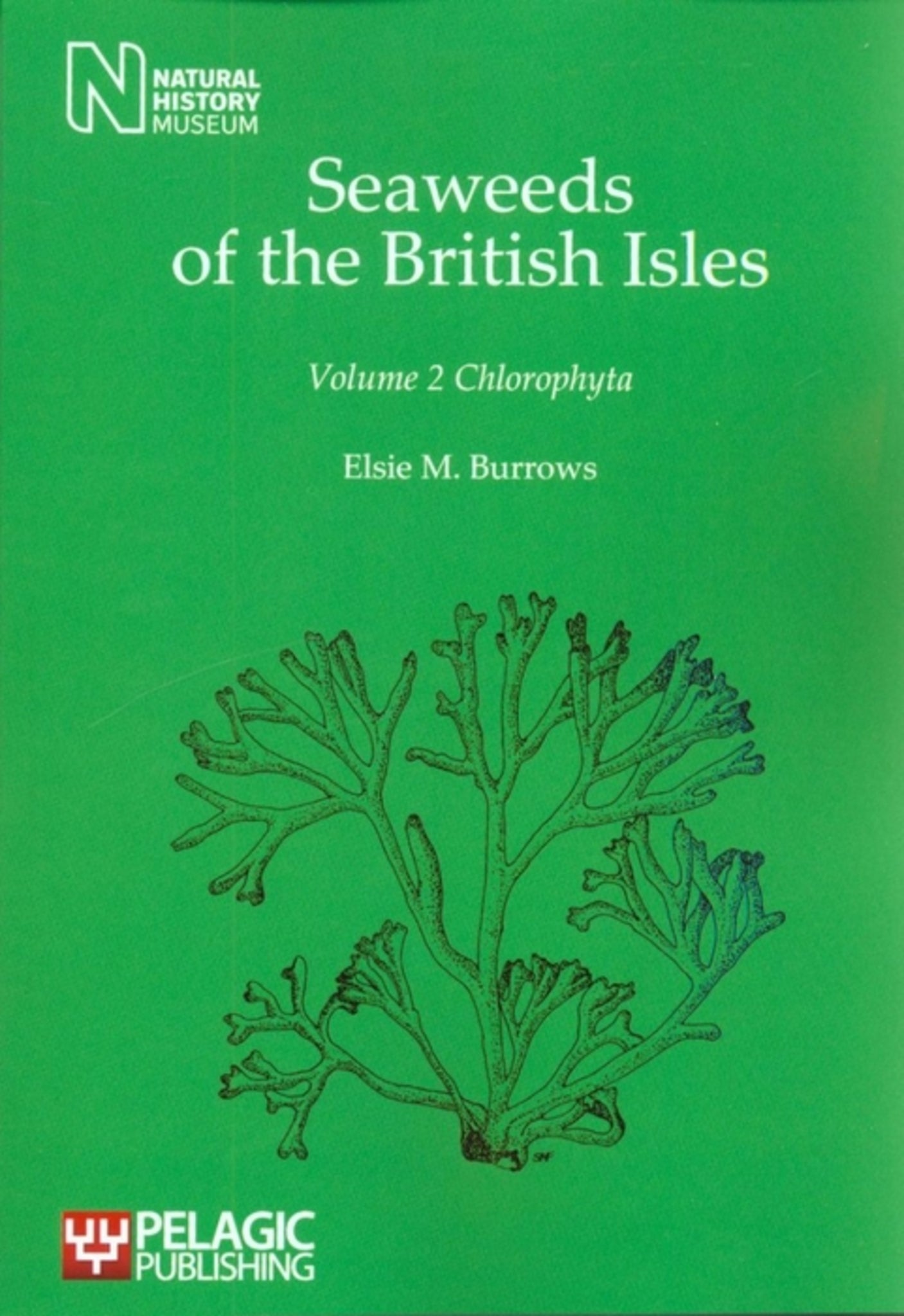 Seaweeds of the British Isles