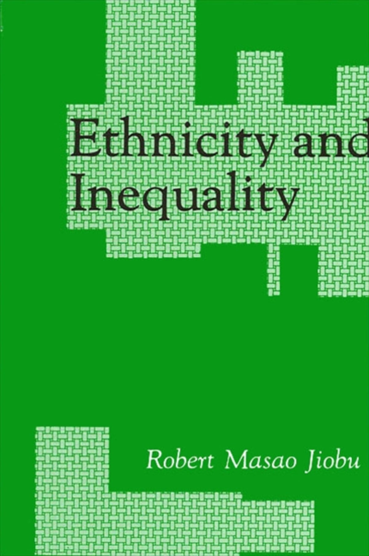 Cover image for Ethnicity and Inequality ISBN 9780791403655