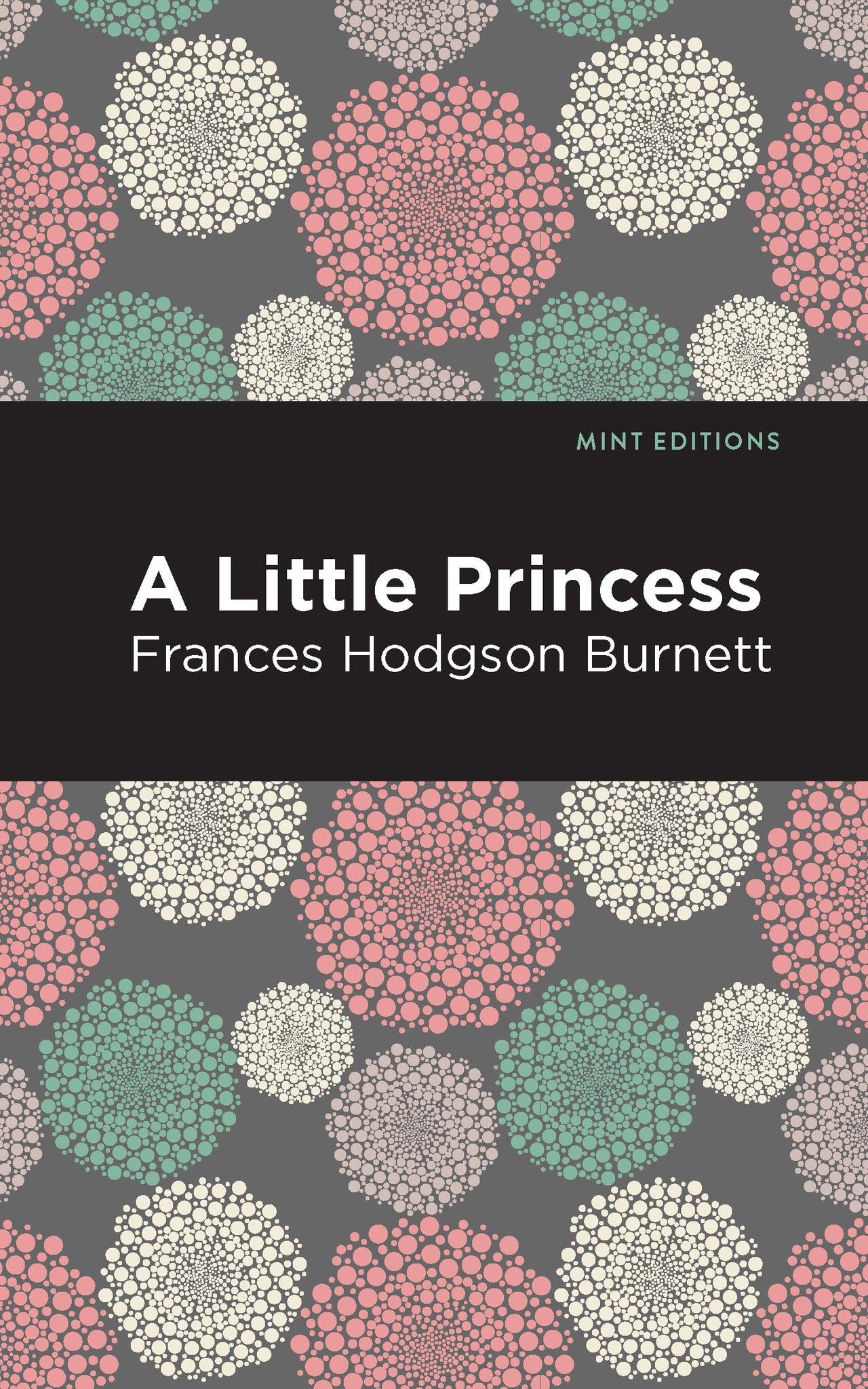 Cover image for A Little Princess ISBN 9781513268798