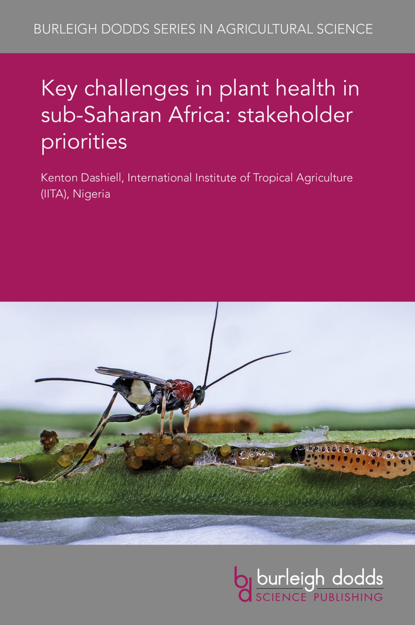 Key challenges in plant health in sub-Saharan Africa: stakeholder priorities