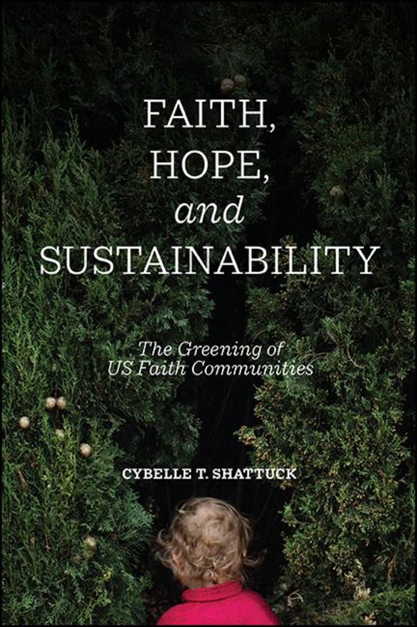 Cover image for Faith, Hope, and Sustainability ISBN 9781438481982