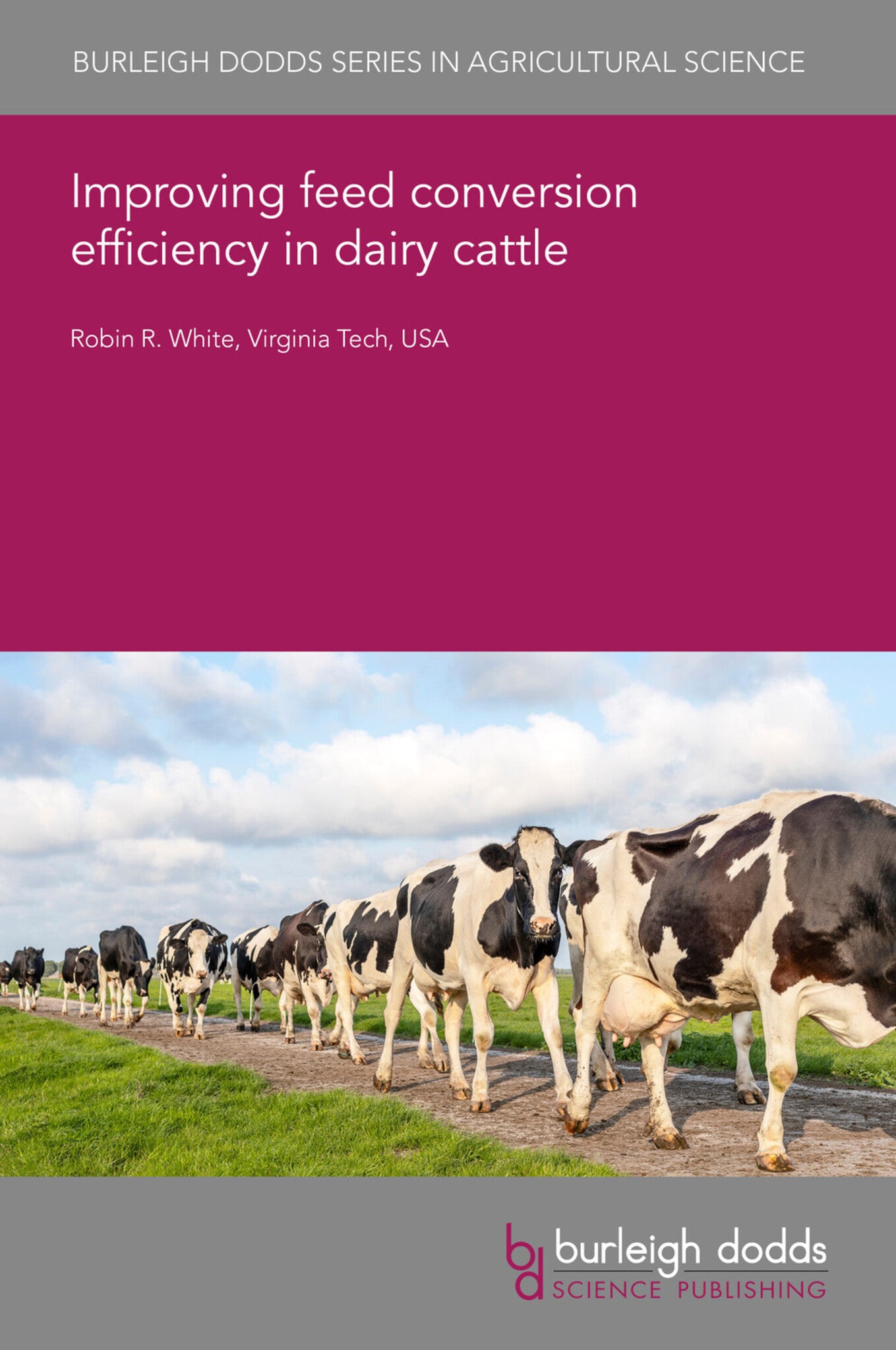 Improving feed conversion efficiency in dairy cattle