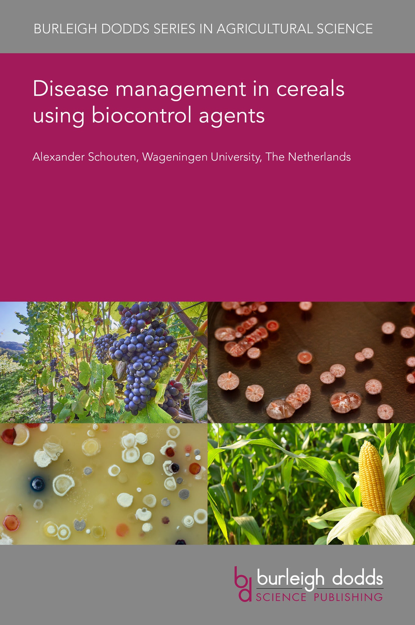 Disease management in cereals using biocontrol agents