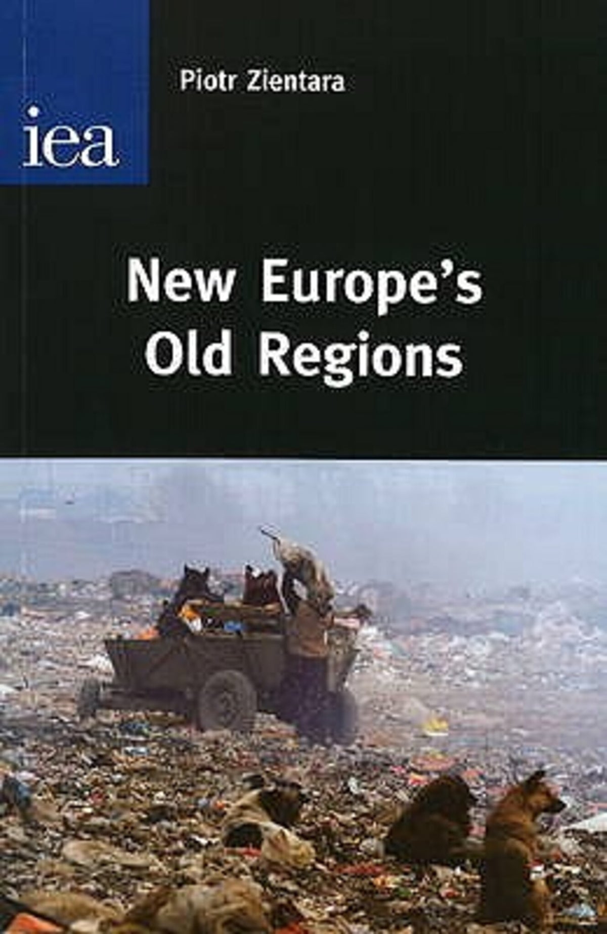 Cover image for New Europe's Old Regions ISBN 9780255366175