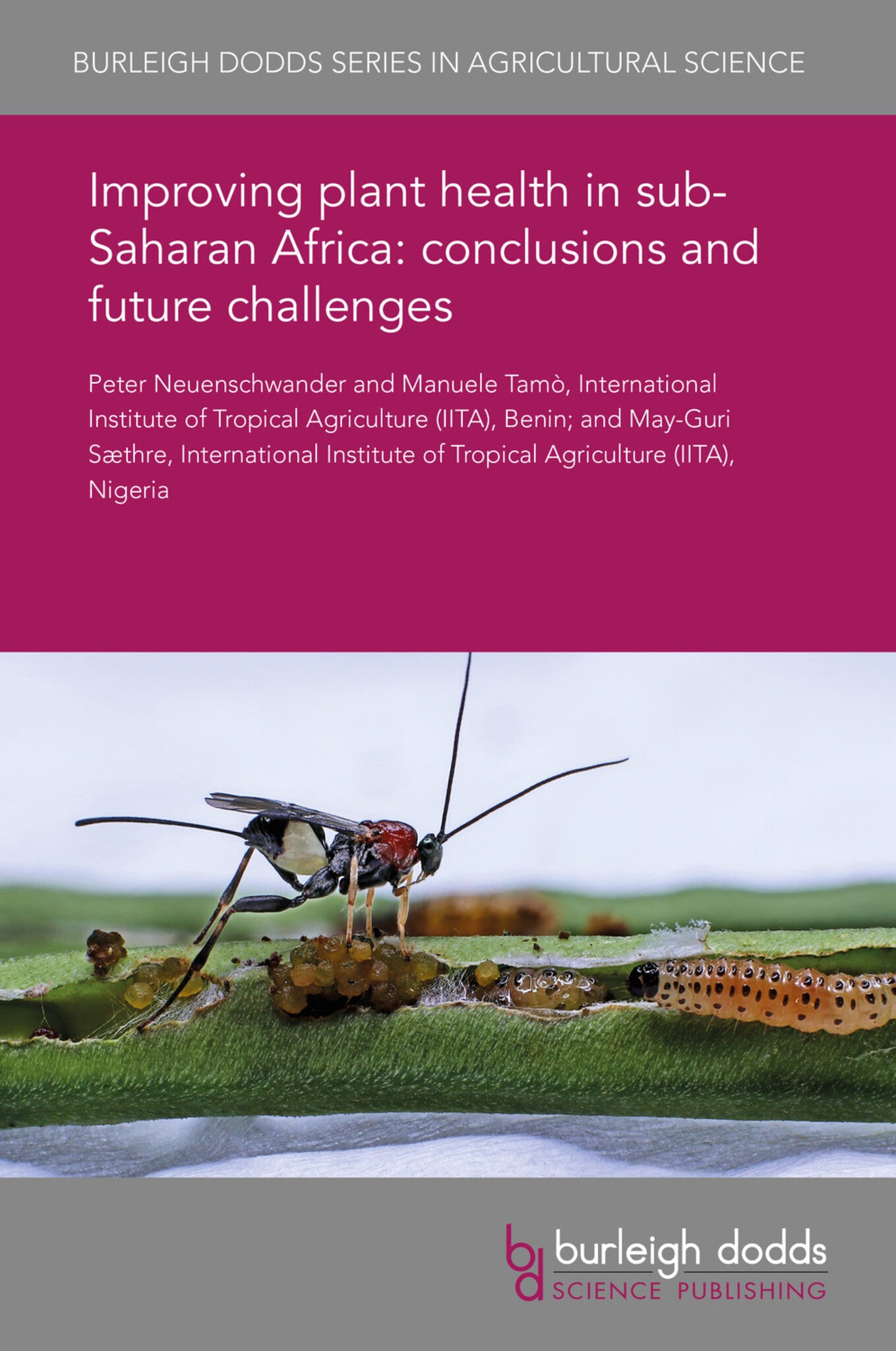 Improving plant health in sub-Saharan Africa: conclusions and future challenges