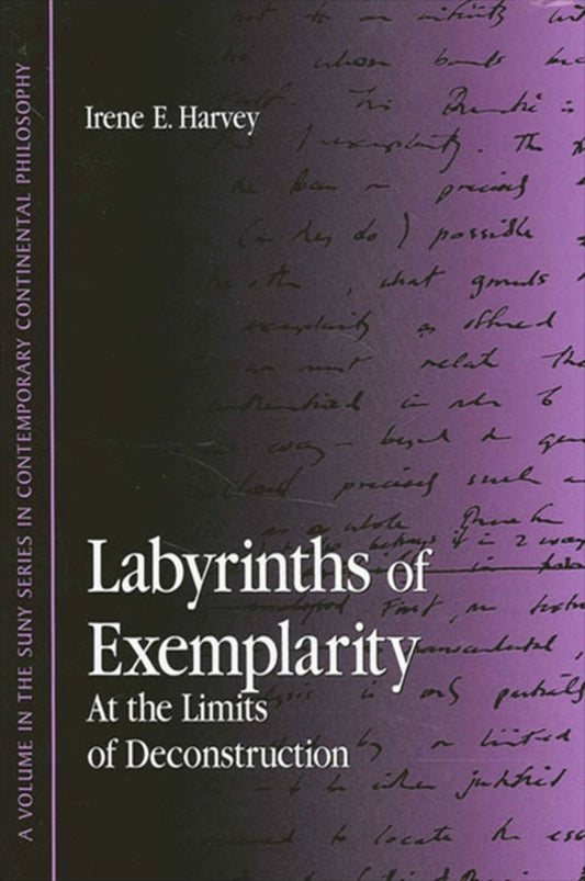 Labyrinths of Exemplarity