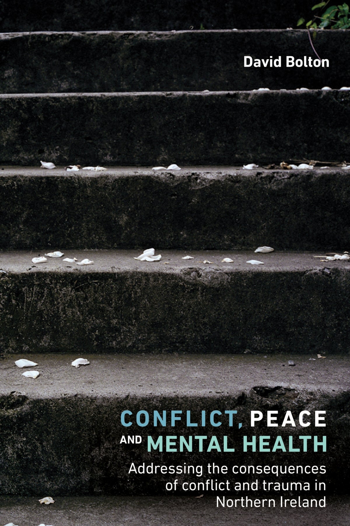Cover image for Conflict, peace and mental health ISBN 9781526126672