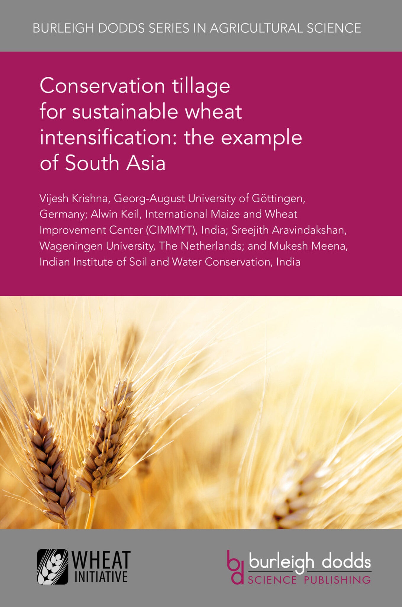 Conservation tillage for sustainable wheat intensification: the example of South Asia