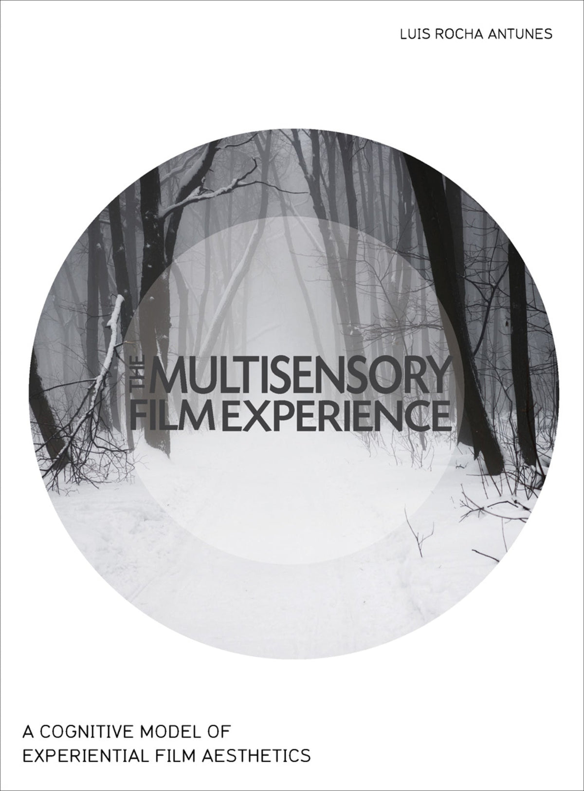 Cover image for The Multisensory Film Experience ISBN 9781783206308