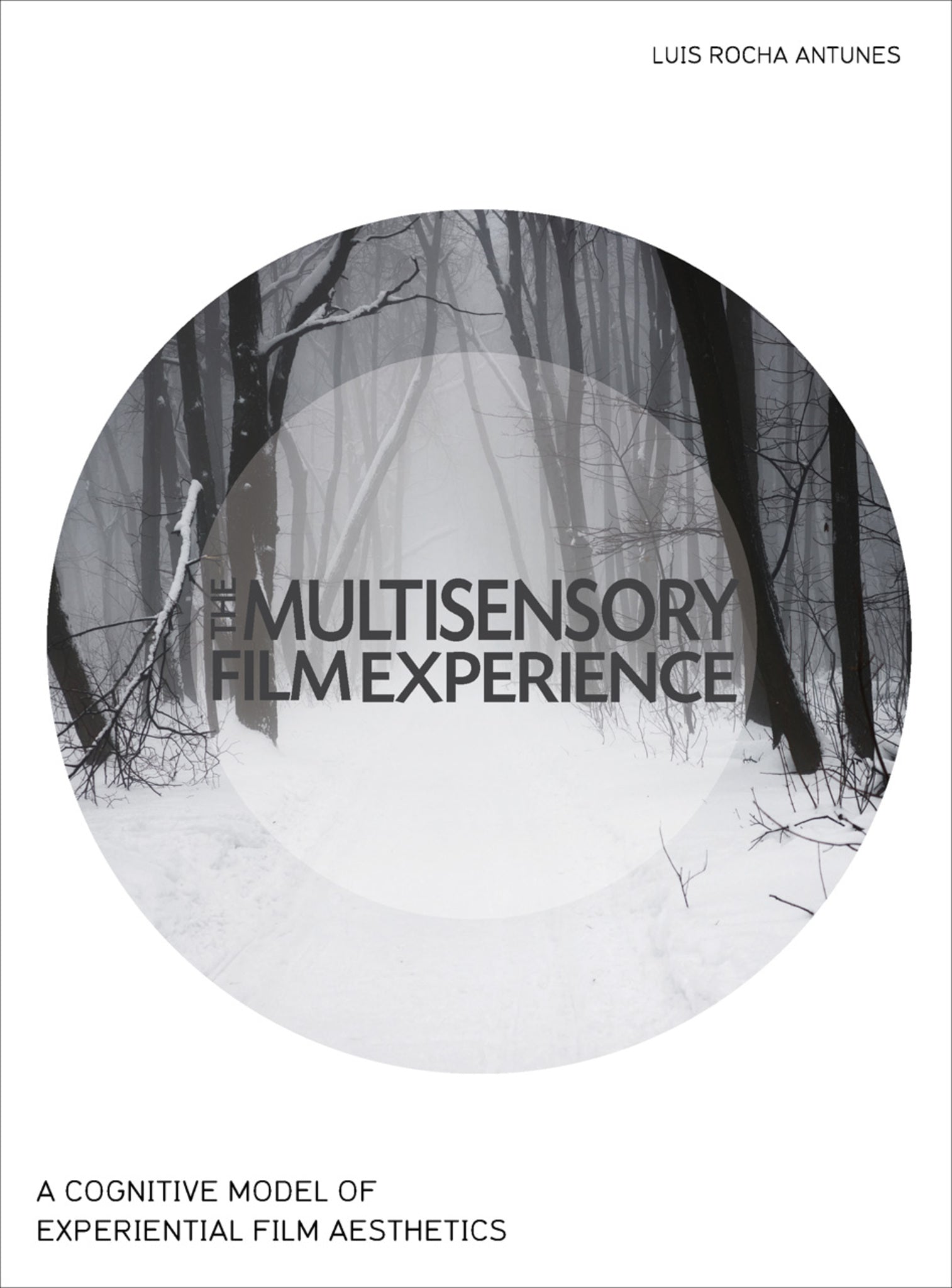Cover image for The Multisensory Film Experience ISBN 9781783206308
