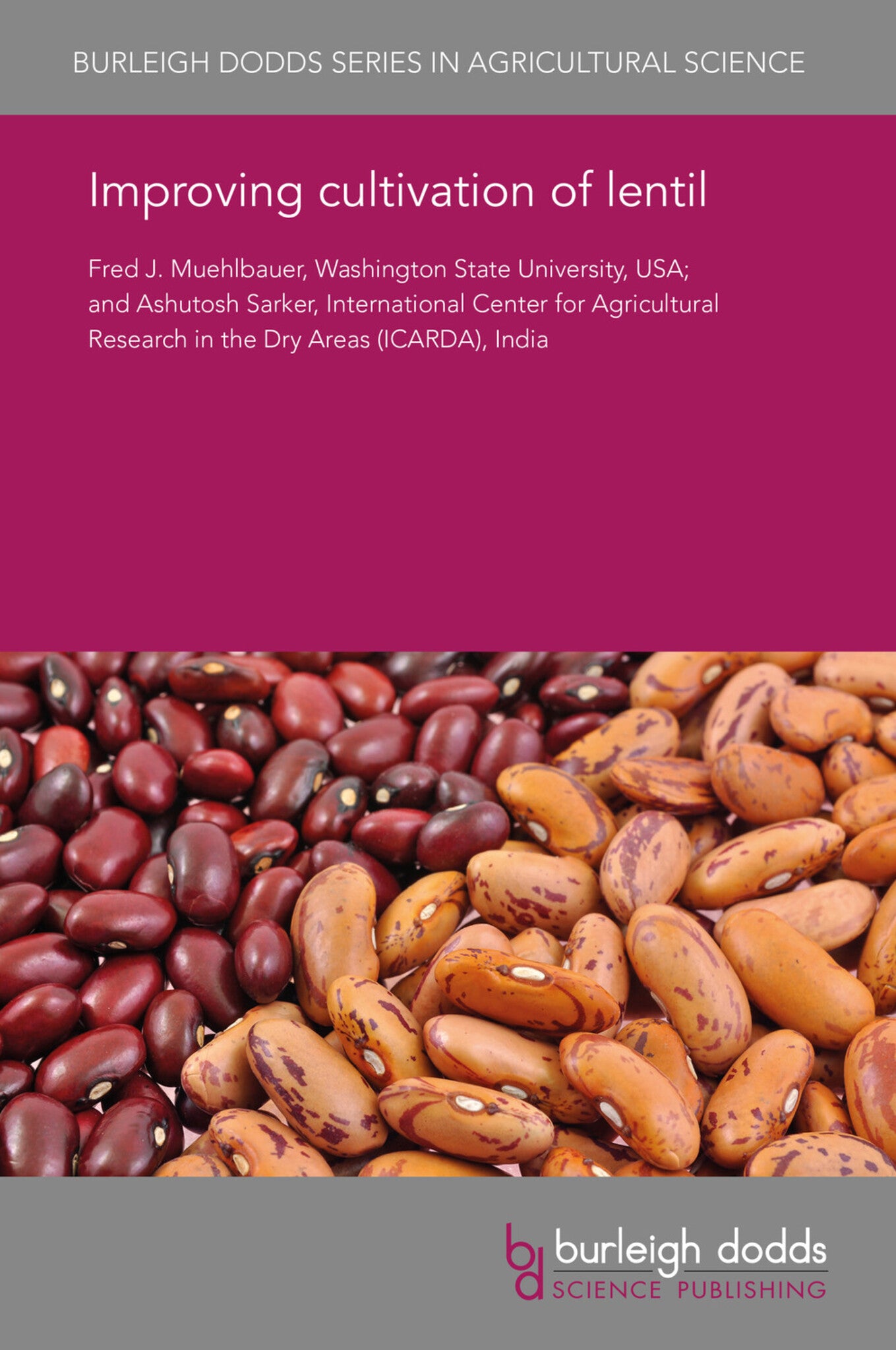 Improving cultivation of lentil