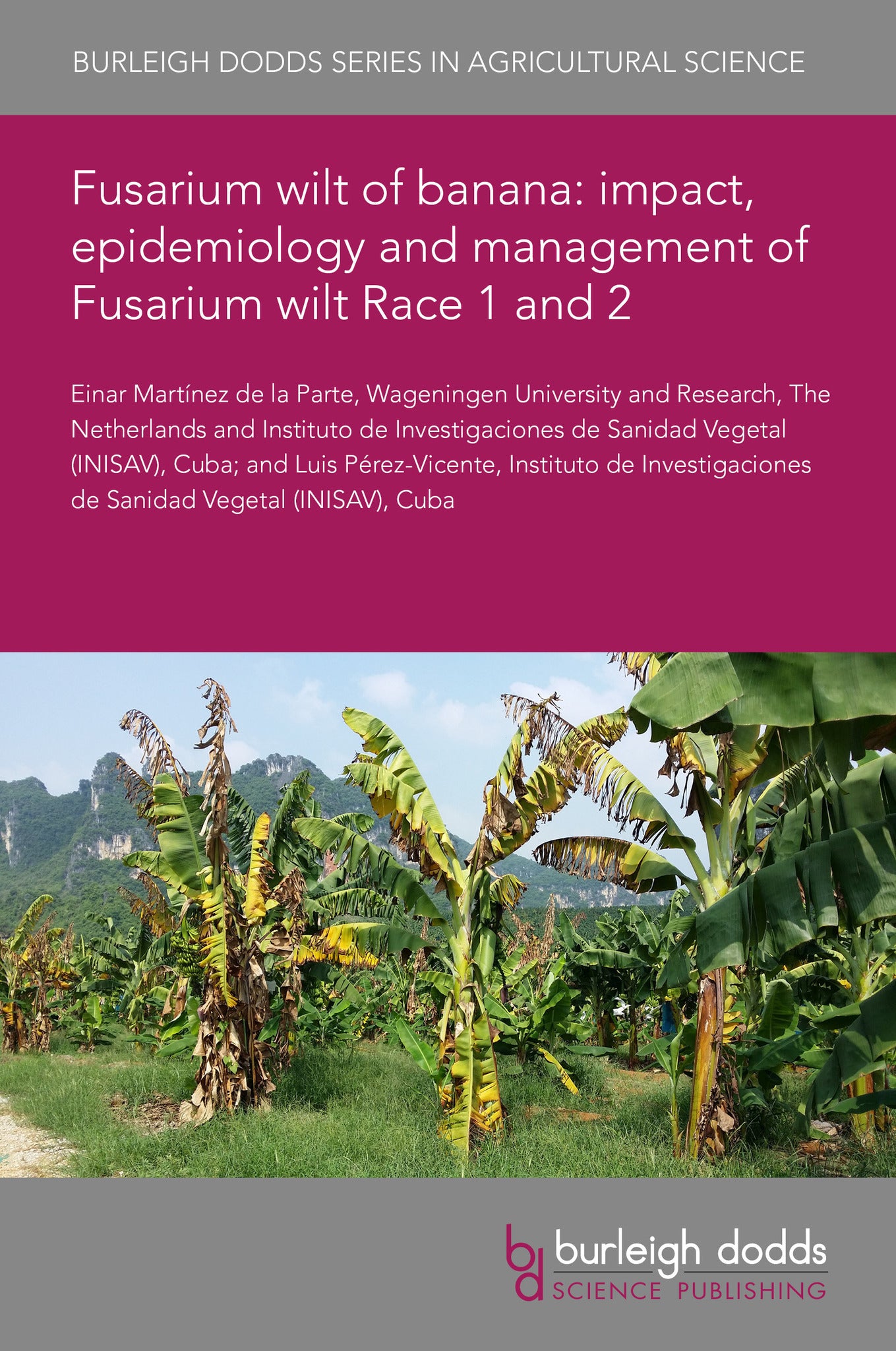 Fusarium wilt of banana: impact, epidemiology and management of Fusarium wilt Race 1 and 2