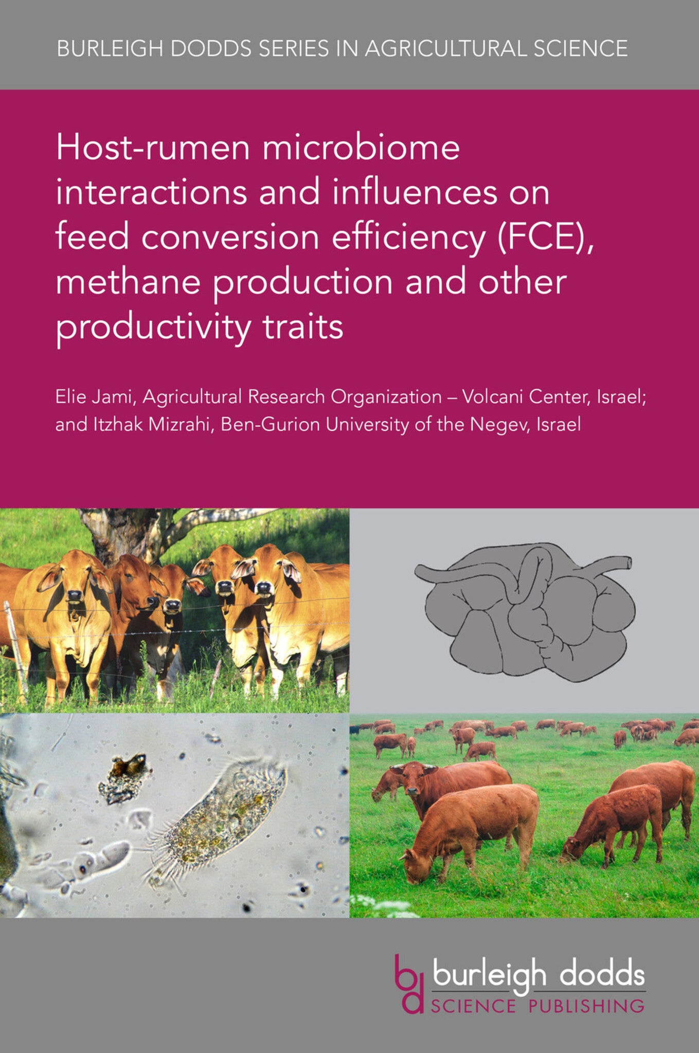 Host-rumen microbiome interactions and influences on feed conversion efficiency (FCE), methane production and other productivity traits