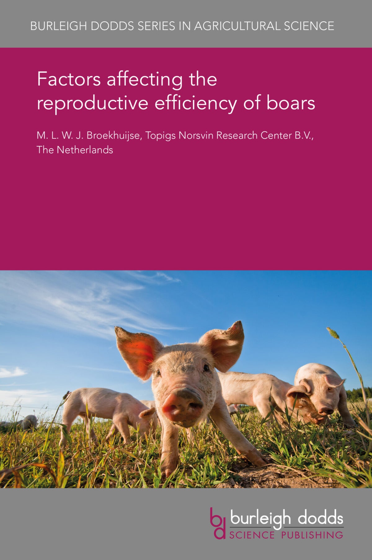 Cover image for Factors affecting the reproductive efficiency of boars ISBN 9781838795269