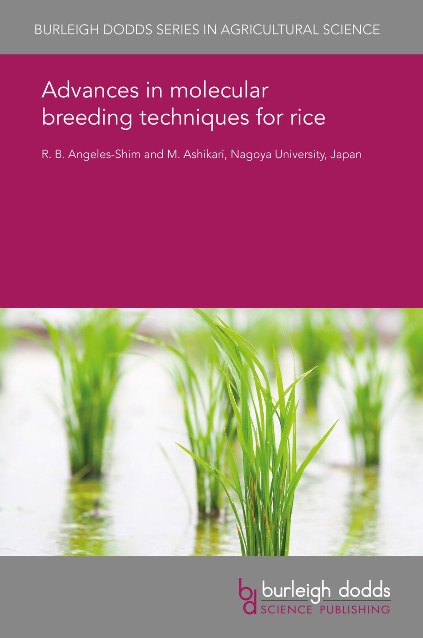 Advances in molecular breeding techniques for rice
