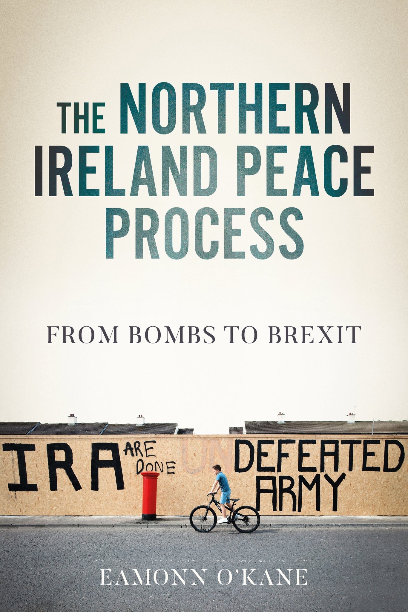 The Northern Ireland peace process