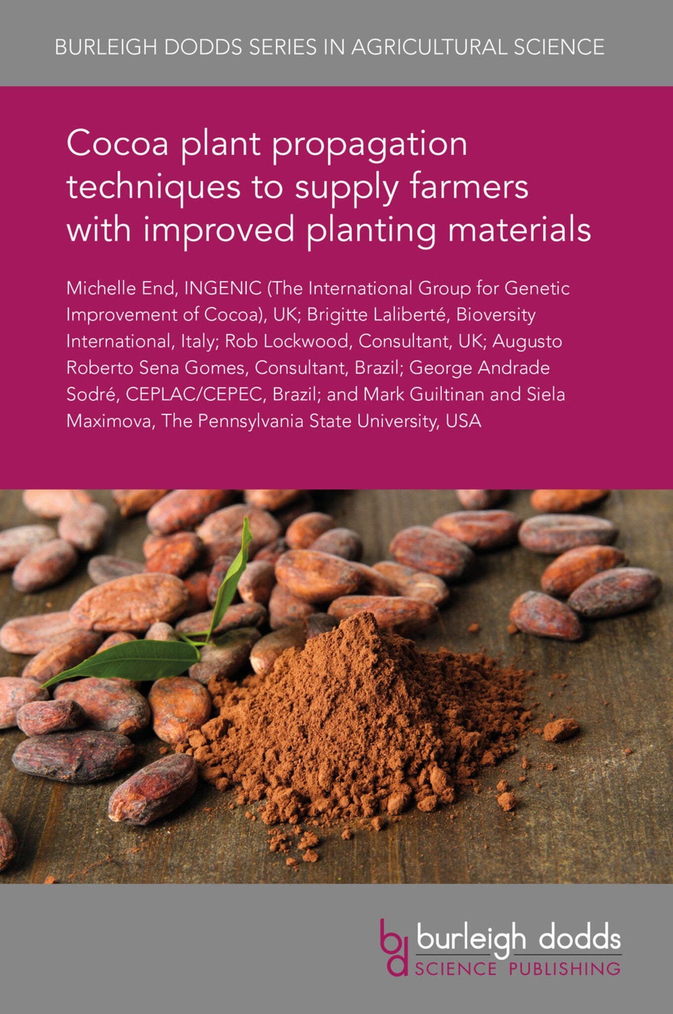 Cocoa plant propagation techniques to supply farmers with improved planting materials