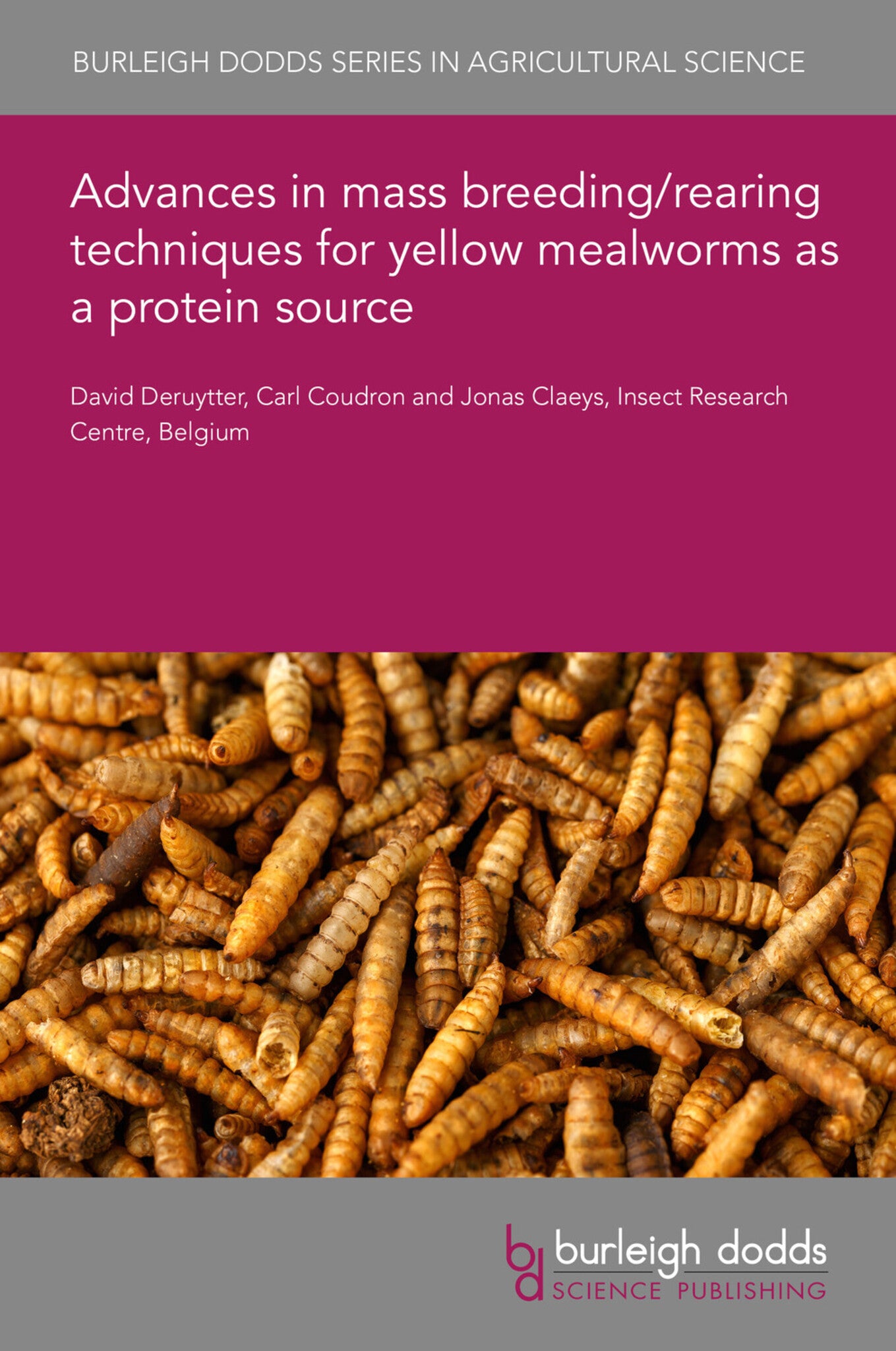 Advances in mass breeding/rearing techniques for yellow mealworms as a protein source