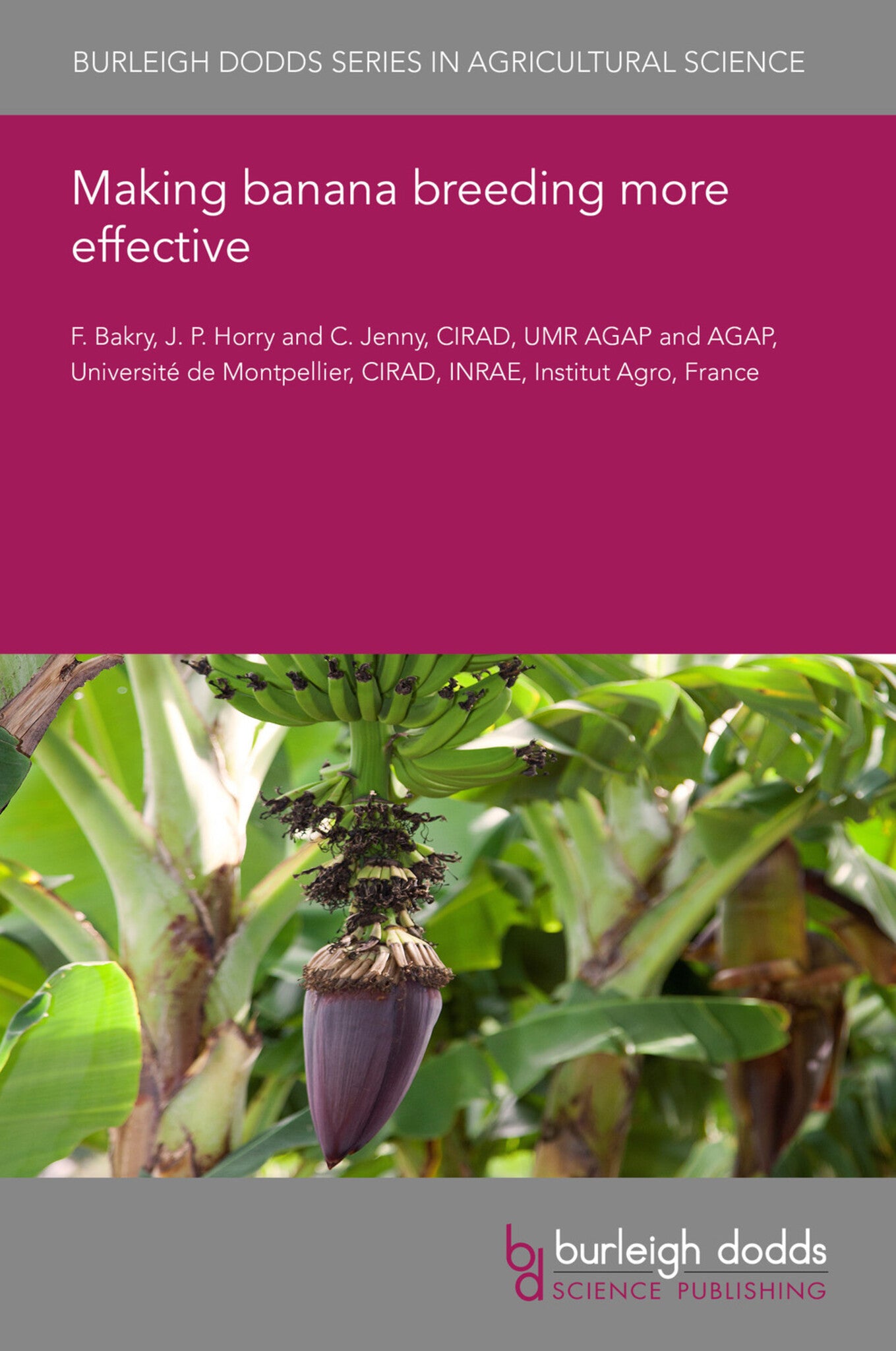 Making banana breeding more effective