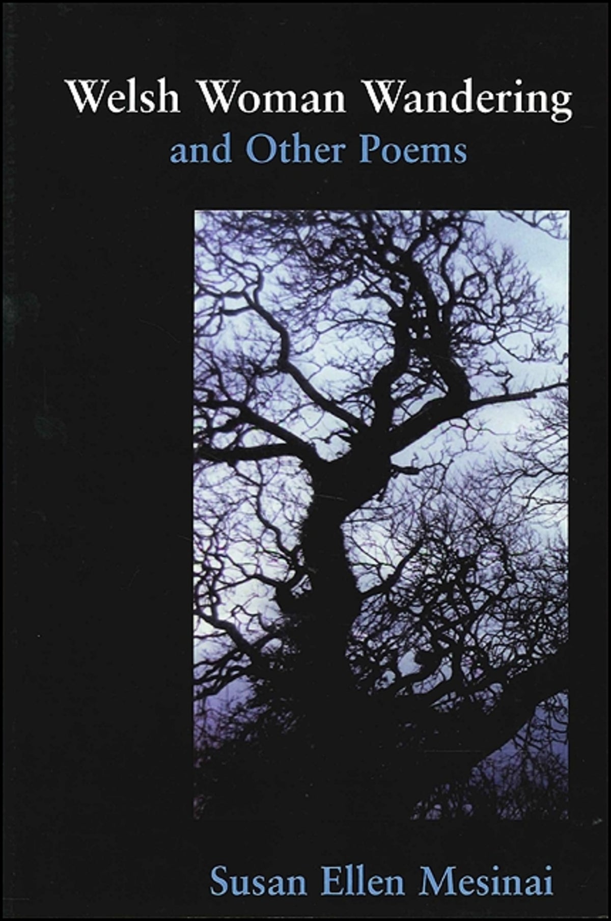 Cover image for Welsh Woman Wandering and Other Poems ISBN 9781930337220