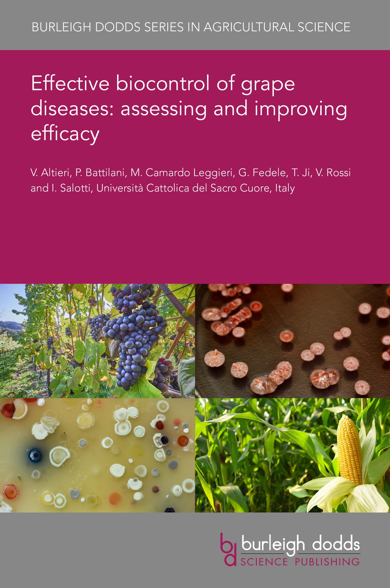 Effective biocontrol of grape diseases: assessing and improving efficacy