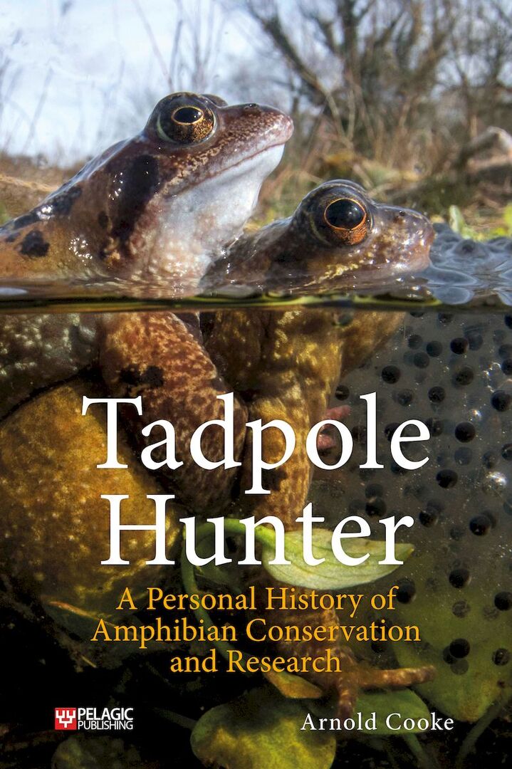 Cover image for Tadpole Hunter ISBN 9781784274481