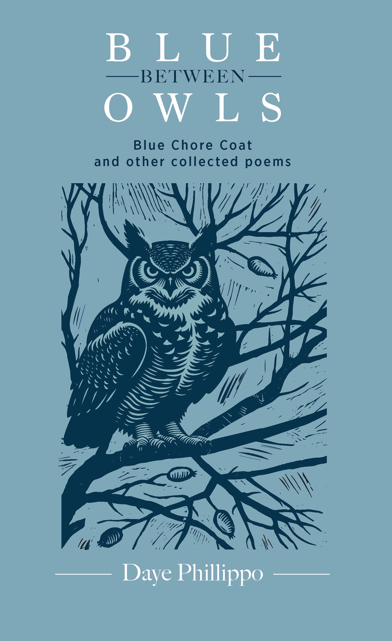 Blue Between Owls