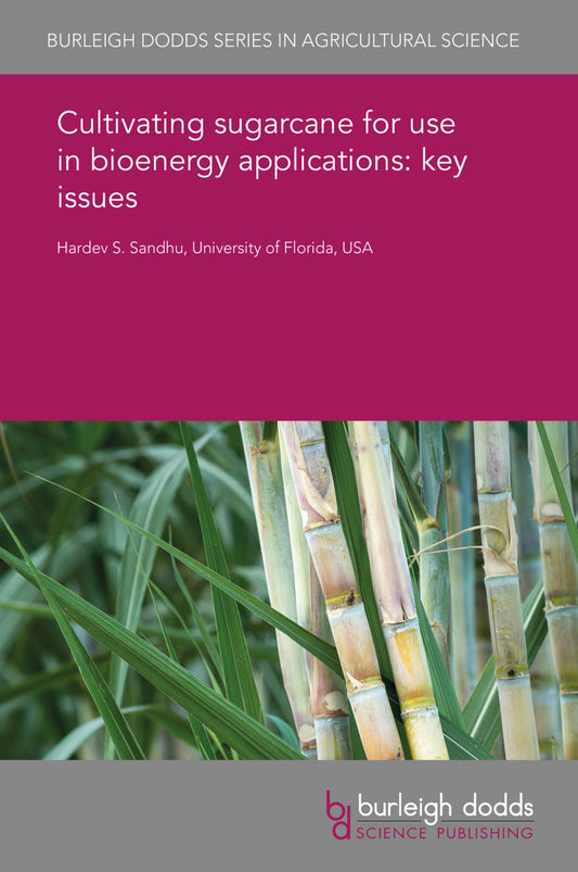 Cultivating sugarcane for use in bioenergy applications: key issues