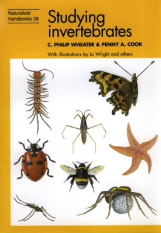 Studying Invertebrates