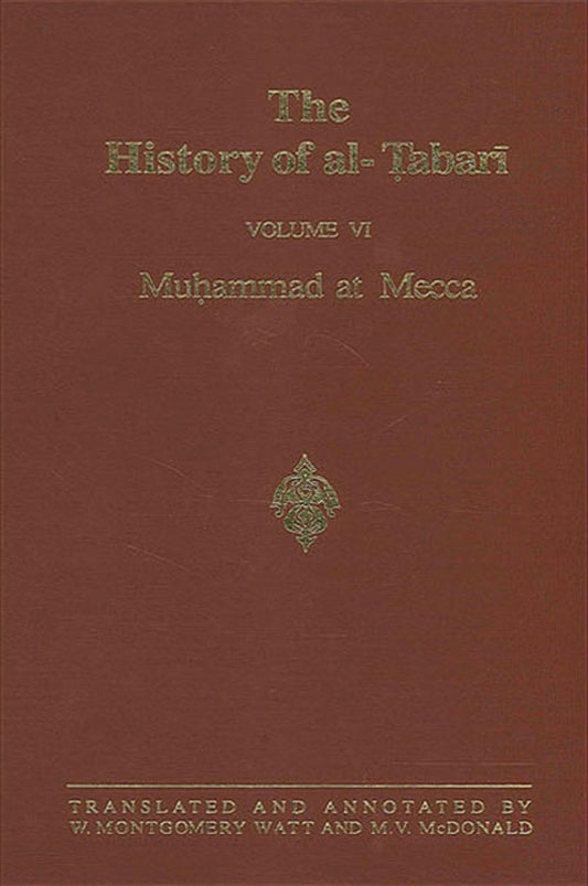 The History of al-Ṭabarī Vol. 6