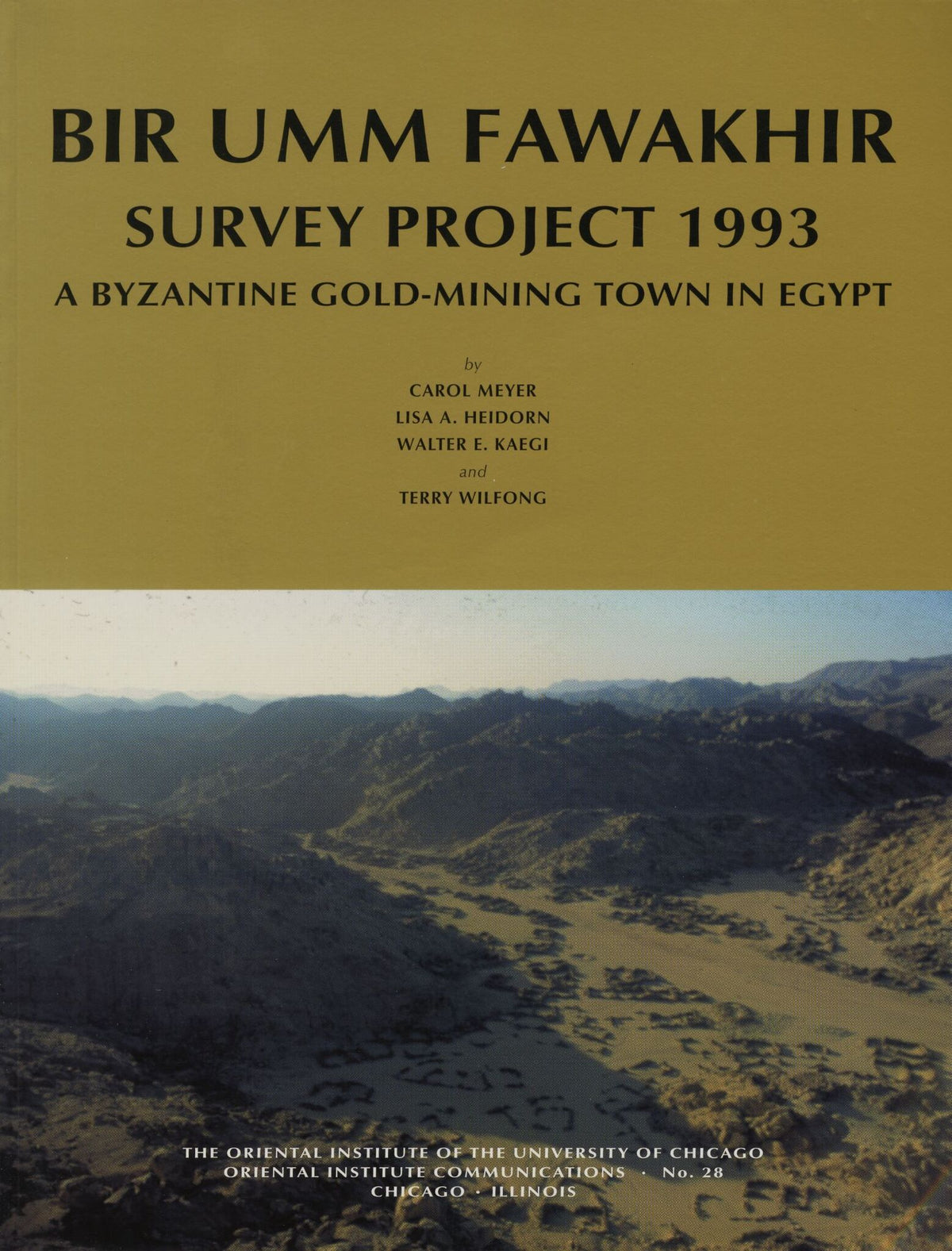Cover image for Bir Umm Fawakhir Survey Project 1993 ISBN 9781885923165
