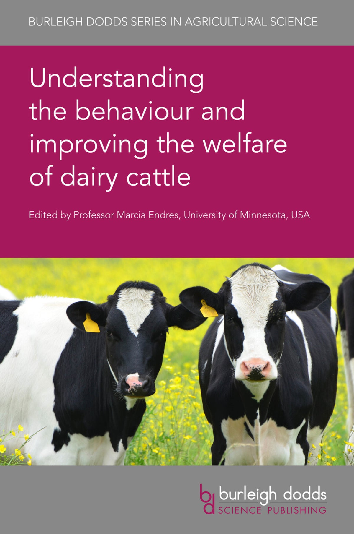 Cover image for Understanding the behaviour and improving the welfare of dairy cattle ISBN 9781786764591