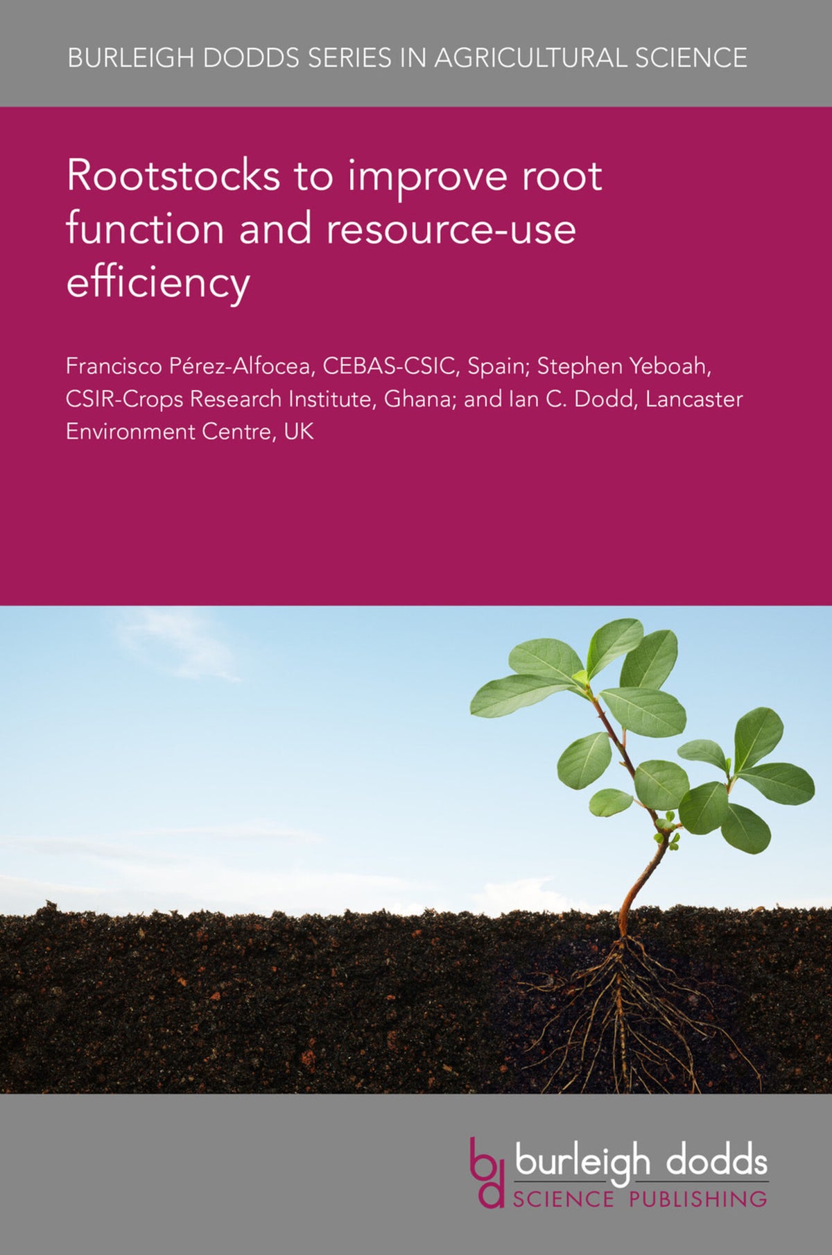 Rootstocks to improve root function and resource-use efficiency