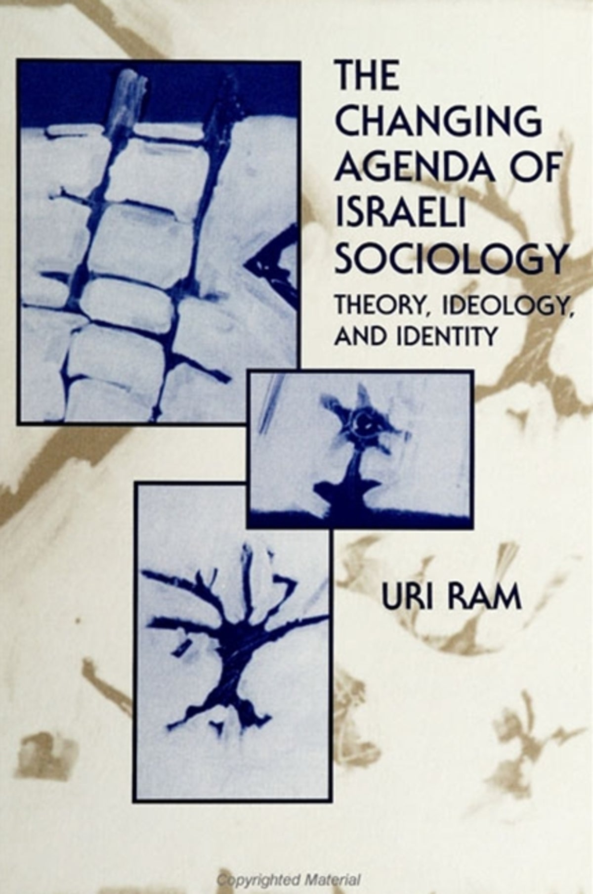 Cover image for The Changing Agenda of Israeli Sociology ISBN 9780791423028