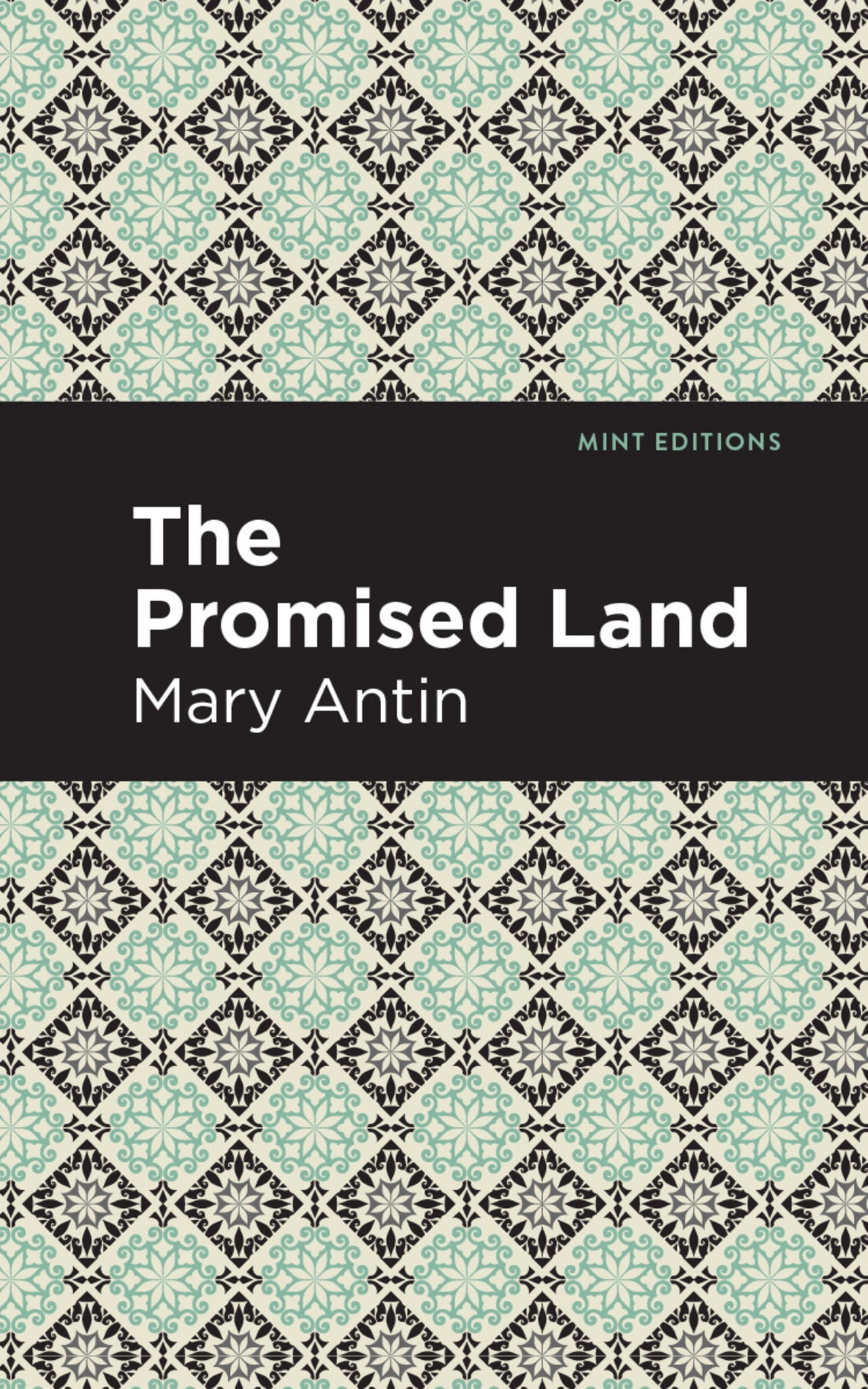 Cover image for The Promised Land ISBN 9781513219202